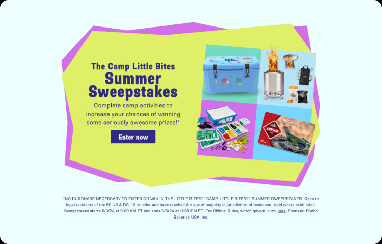 Camp Little Bites summer sweepstakes digital hub